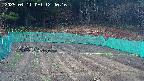 kannonmori-20250411124017.jpg