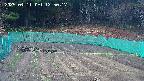 kannonmori-20250411125019.jpg