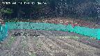 kannonmori-20250411130018.jpg