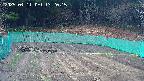 kannonmori-20250411132016.jpg