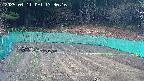kannonmori-20250411133017.jpg