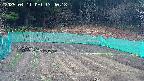 kannonmori-20250411134019.jpg