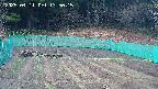 kannonmori-20250411135017.jpg