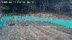 kannonmori-20250411140019.jpg