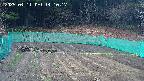 kannonmori-20250411141018.jpg