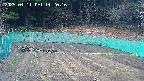 kannonmori-20250411142017.jpg