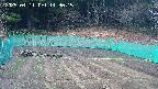 kannonmori-20250411143016.jpg