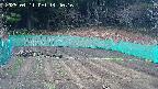 kannonmori-20250411144018.jpg
