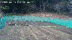 kannonmori-20250411145015.jpg