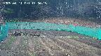 kannonmori-20250411150016.jpg