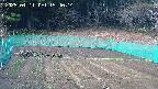 kannonmori-20250411154016.jpg