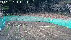 kannonmori-20250411160017.jpg