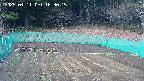 kannonmori-20250411163016.jpg