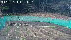 kannonmori-20250411170015.jpg