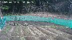 kannonmori-20250412103016.jpg