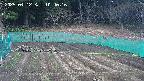 kannonmori-20250412104017.jpg