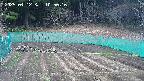 kannonmori-20250412105017.jpg