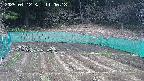 kannonmori-20250412110018.jpg