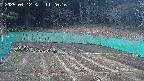 kannonmori-20250412112016.jpg