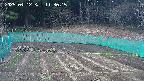kannonmori-20250412113016.jpg