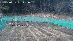 kannonmori-20250412114018.jpg