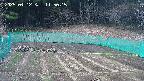 kannonmori-20250412115016.jpg