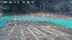kannonmori-20250412120019.jpg