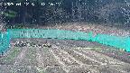 kannonmori-20250412121018.jpg