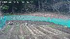 kannonmori-20250412122018.jpg
