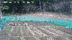 kannonmori-20250412123018.jpg