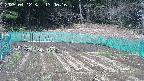 kannonmori-20250412130017.jpg