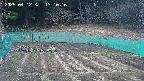 kannonmori-20250412131017.jpg