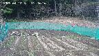 kannonmori-20250412132017.jpg