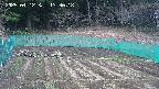 kannonmori-20250412133019.jpg