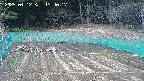 kannonmori-20250412134017.jpg