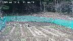kannonmori-20250412135020.jpg