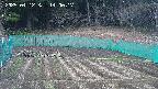 kannonmori-20250412140017.jpg