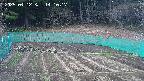 kannonmori-20250412141018.jpg