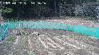 kannonmori-20250412142017.jpg
