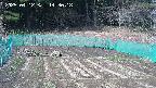 kannonmori-20250412143019.jpg