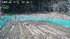 kannonmori-20250412144015.jpg