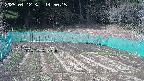 kannonmori-20250412145016.jpg