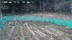 kannonmori-20250412150018.jpg