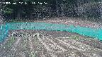kannonmori-20250412151017.jpg