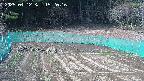 kannonmori-20250412152017.jpg