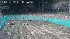 kannonmori-20250412153017.jpg