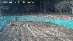 kannonmori-20250412154017.jpg