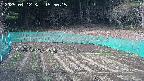 kannonmori-20250412155016.jpg