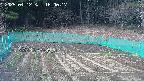 kannonmori-20250412160018.jpg