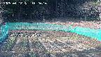 kannonmori-20250412162016.jpg
